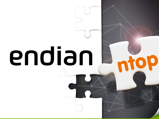 pr-img_endian-ntop_partnership_puzzle.jpg